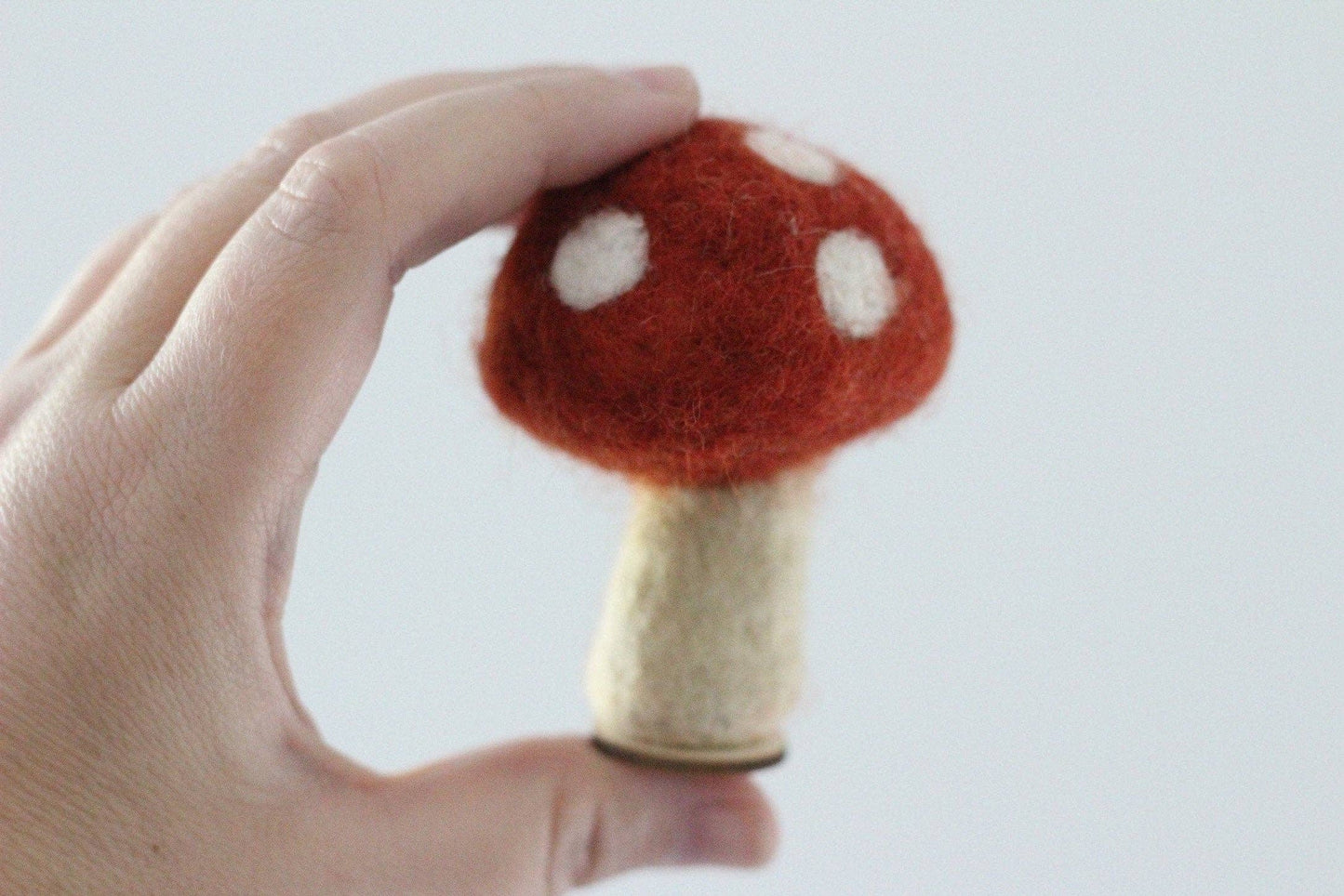 Woodland Mushrooms