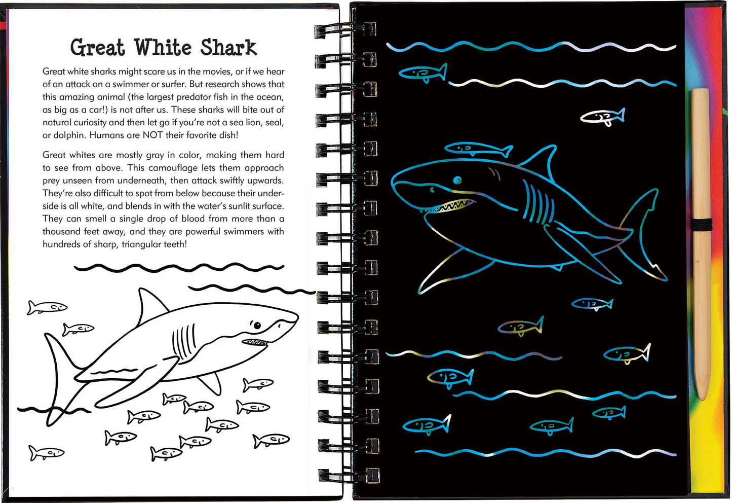 Scratch & Sketch™ Sharks