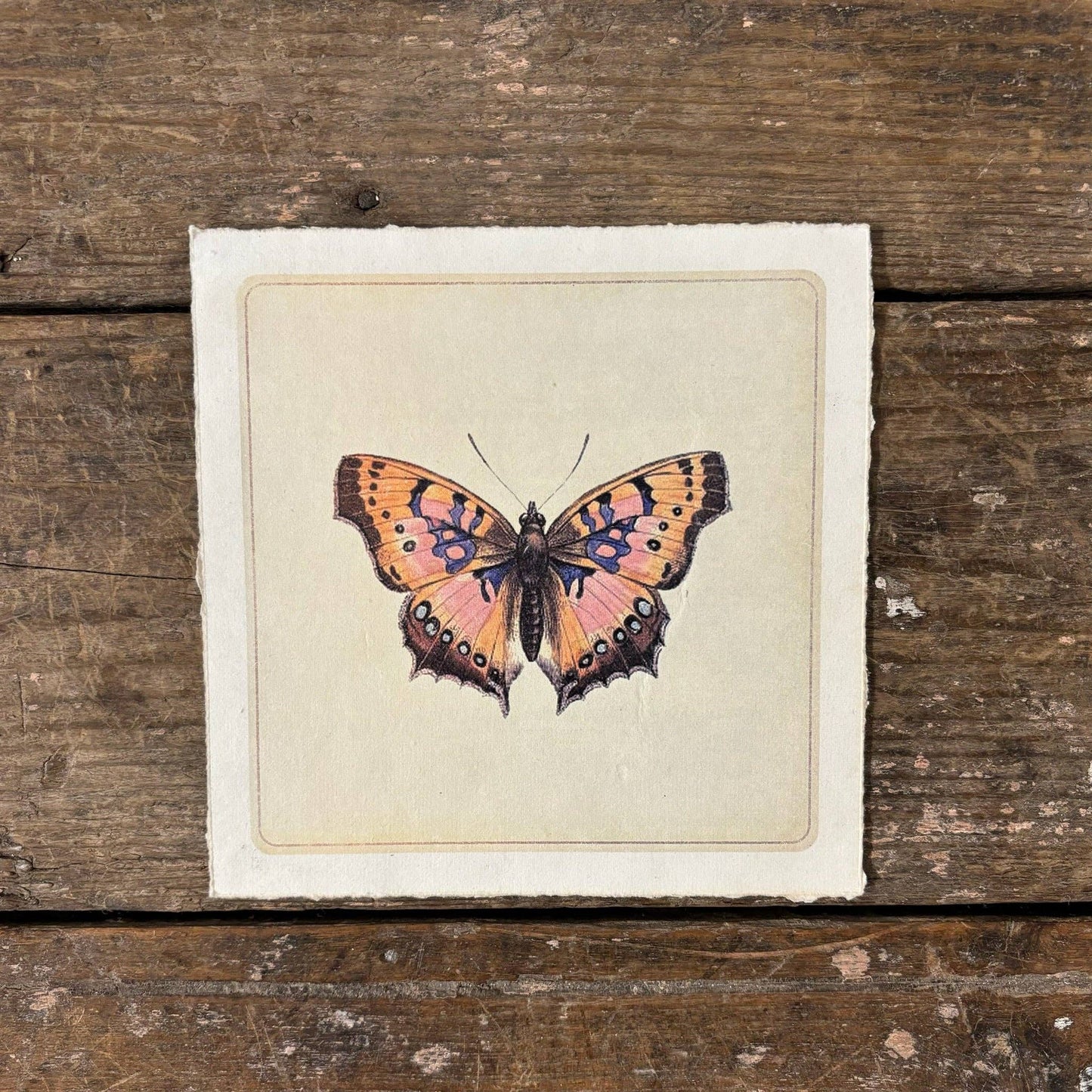 Flora & Fauna Collection - Pink Butterfly