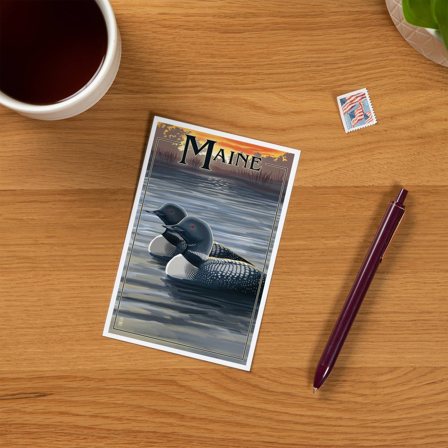 Postcard - Maine - Loon Family