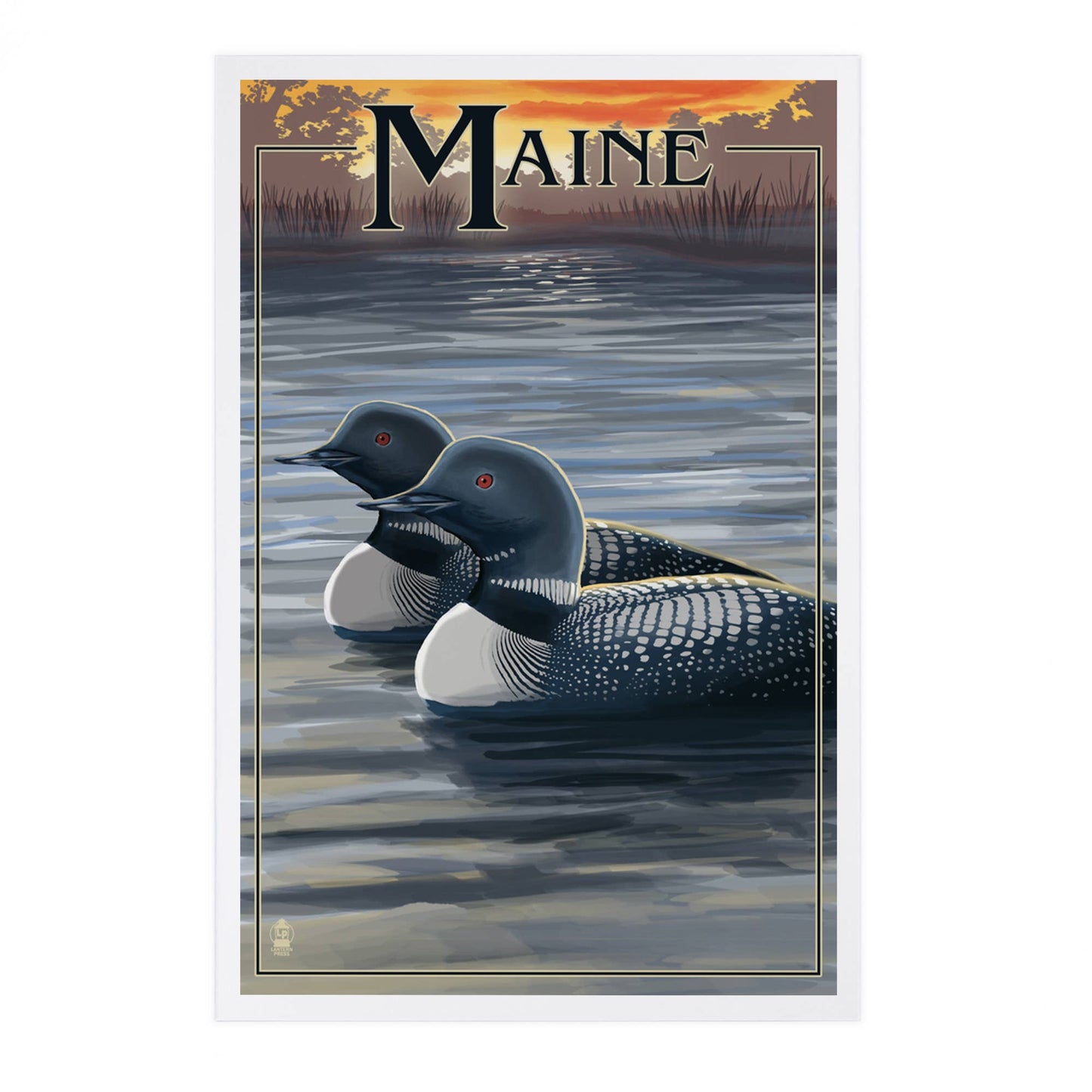 Postcard - Maine - Loon Family