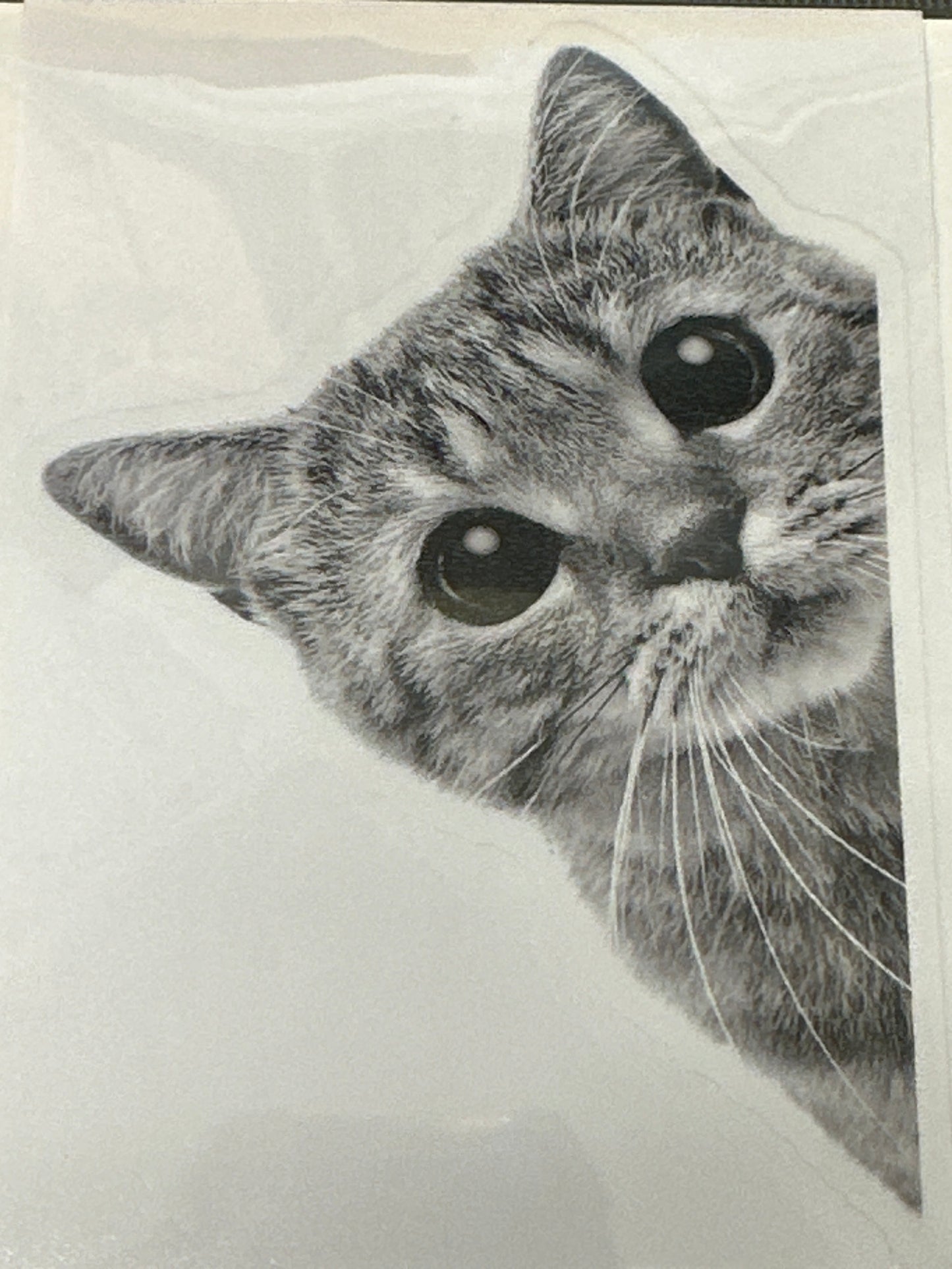 Sticker Lg - Cat
