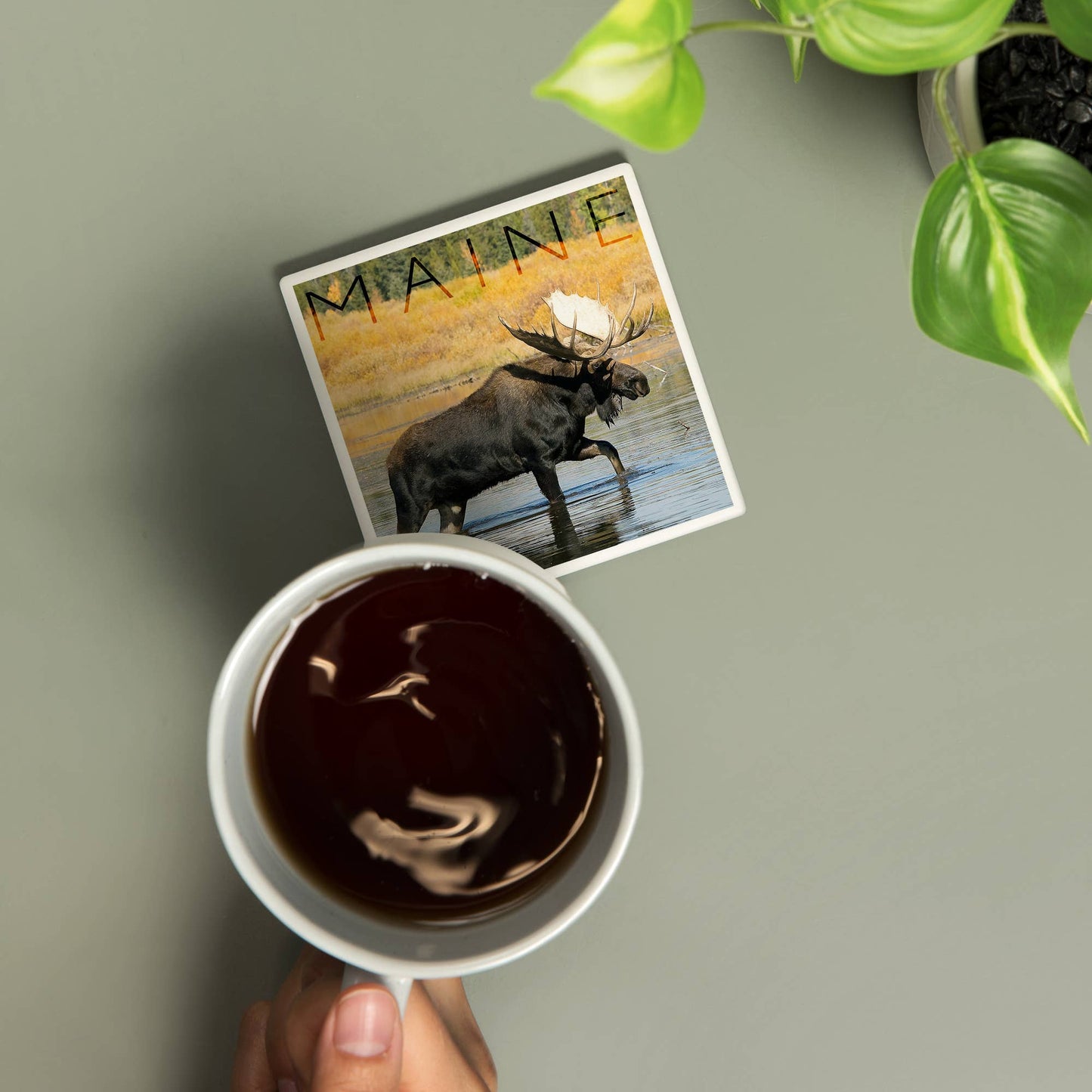 Coaster - Ceramic - Maine - Bull Moose in River