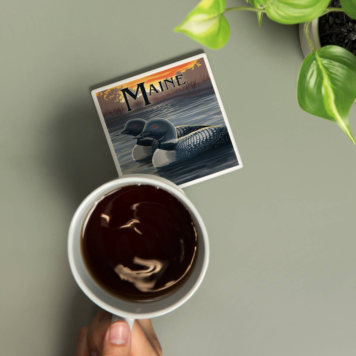 Coaster - Ceramic - Maine - Loon Family
