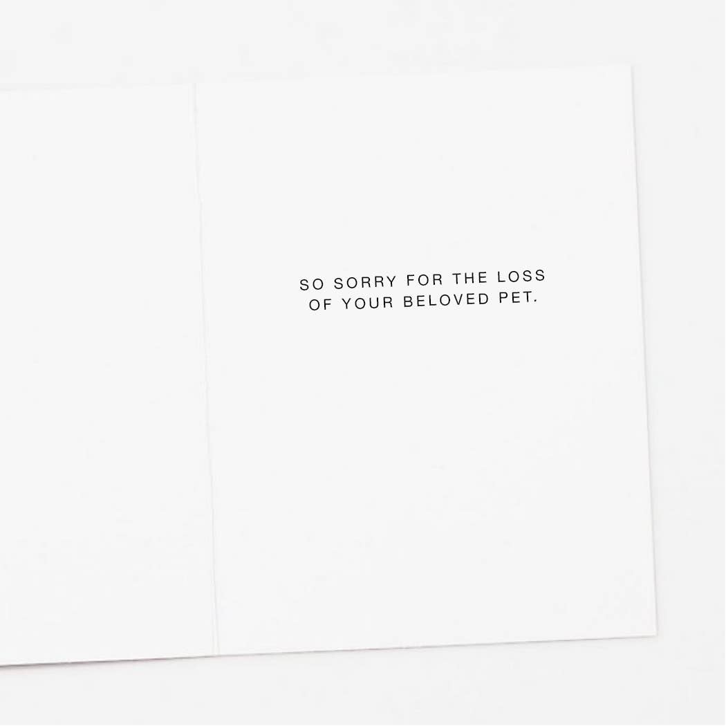 Card - Cat Sympathy - Sorry