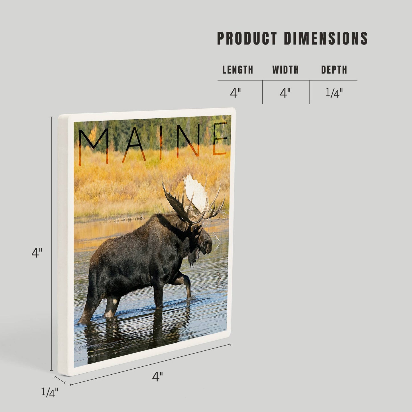 Coaster - Ceramic - Maine - Bull Moose in River