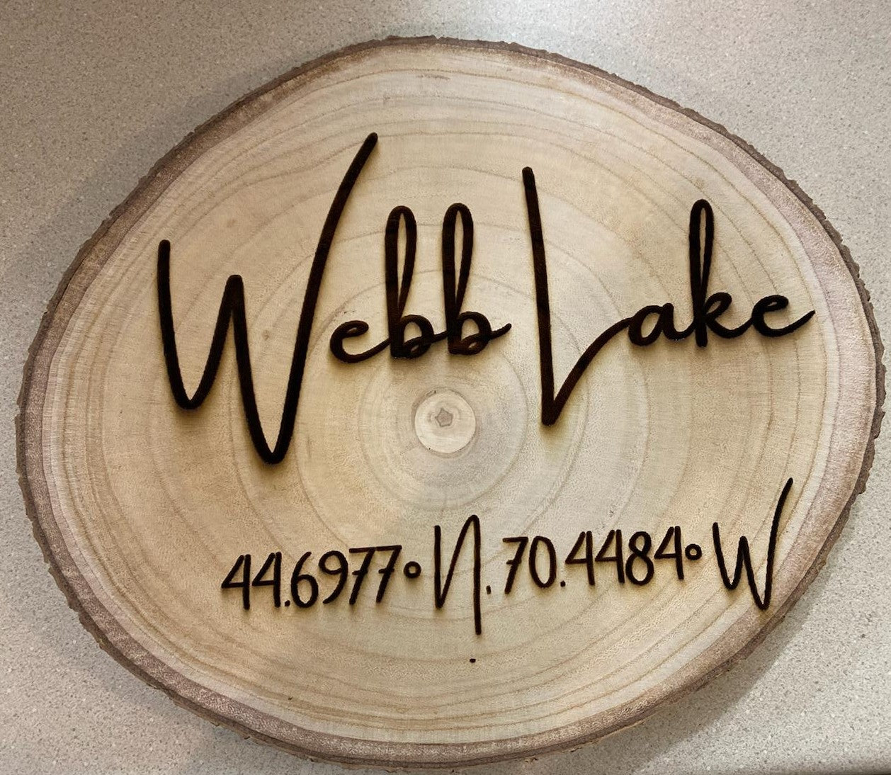 Sign - Webb Lake with GPS Coordinates