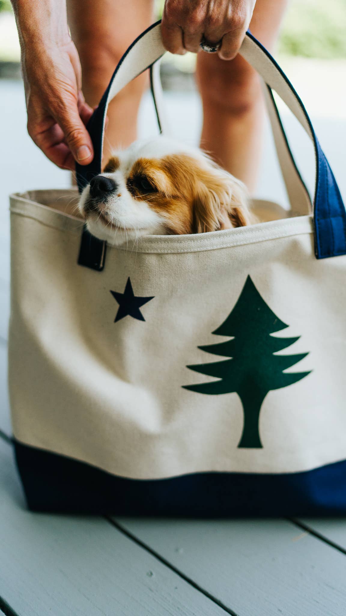 Tote - Maine Flag