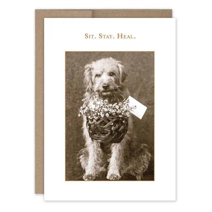 Supportive Cards