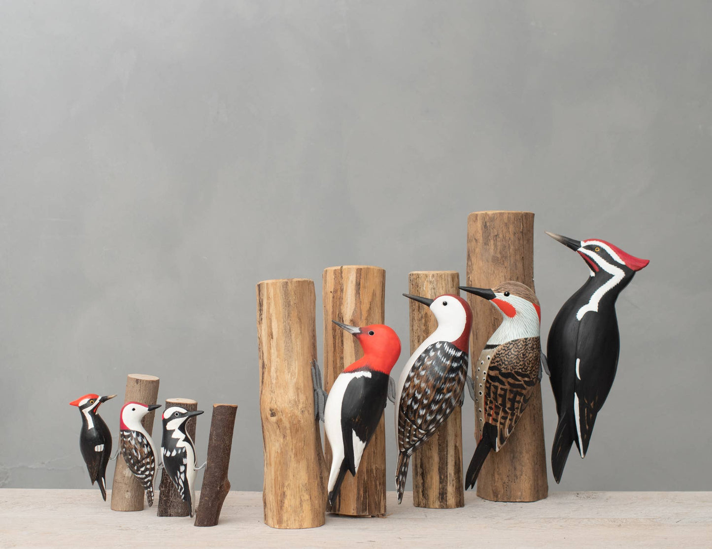 Woodpecker - Pileated