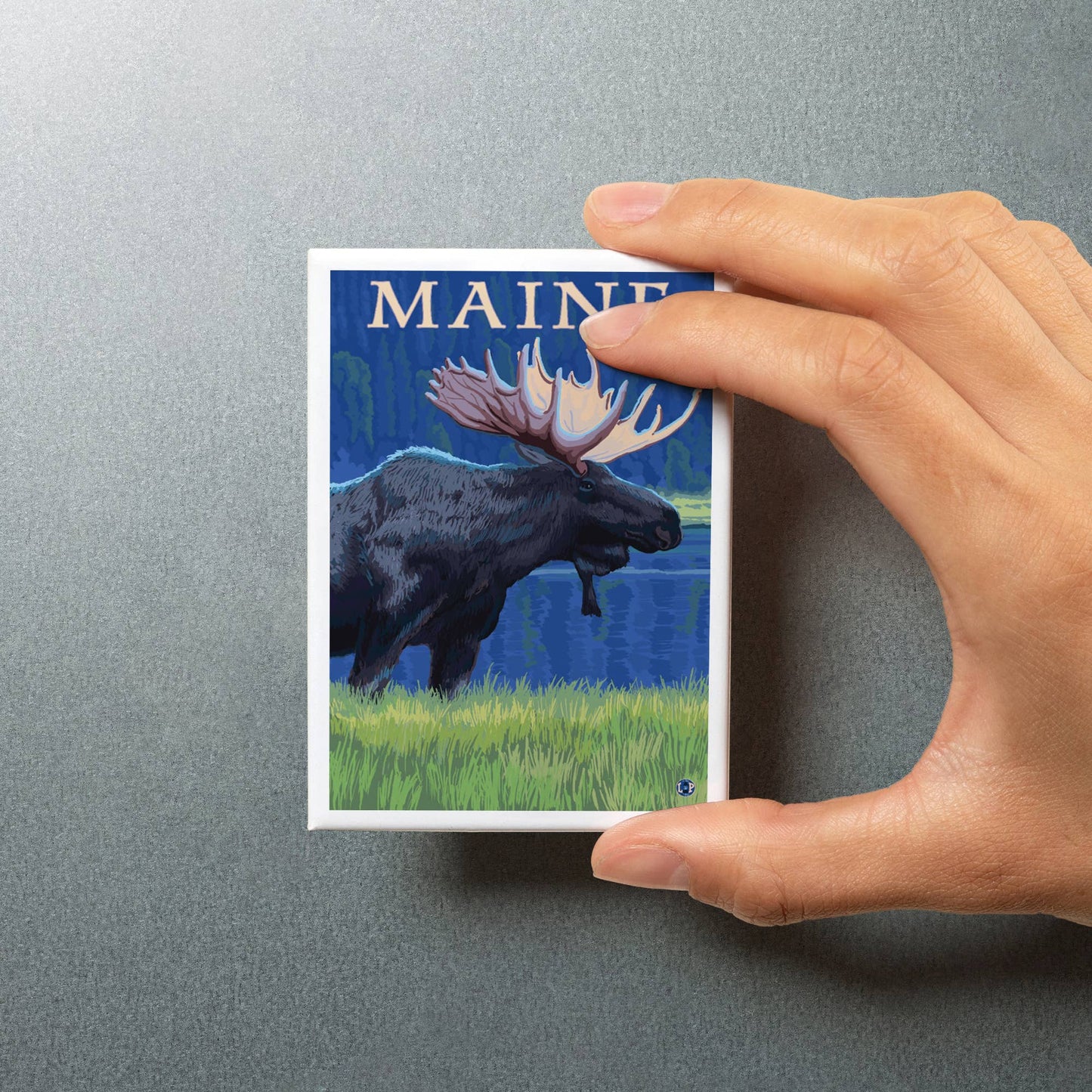 Magnet - Maine - Moose in the Moonlight