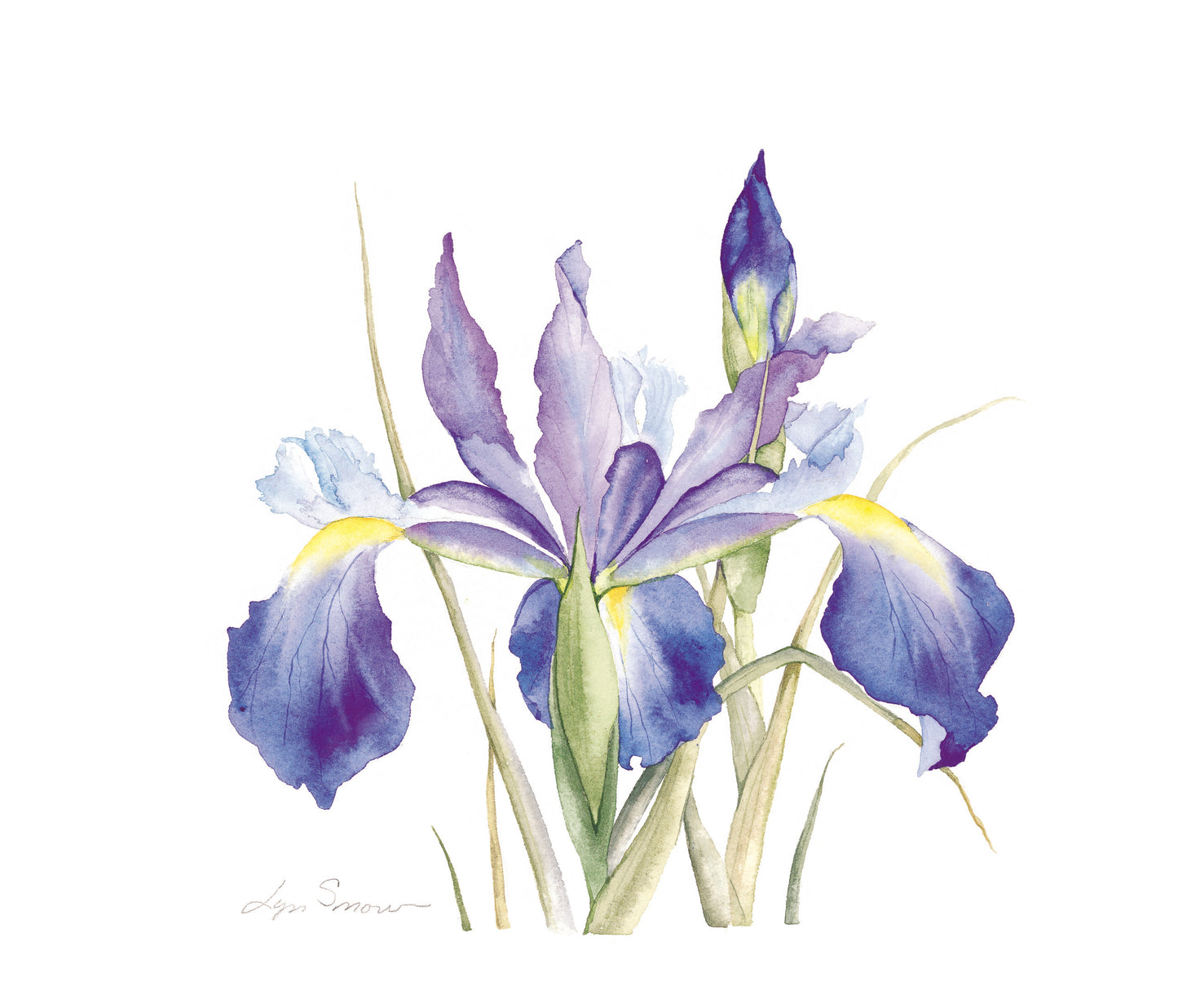 Lyn Snow - Fleur De Lis Print