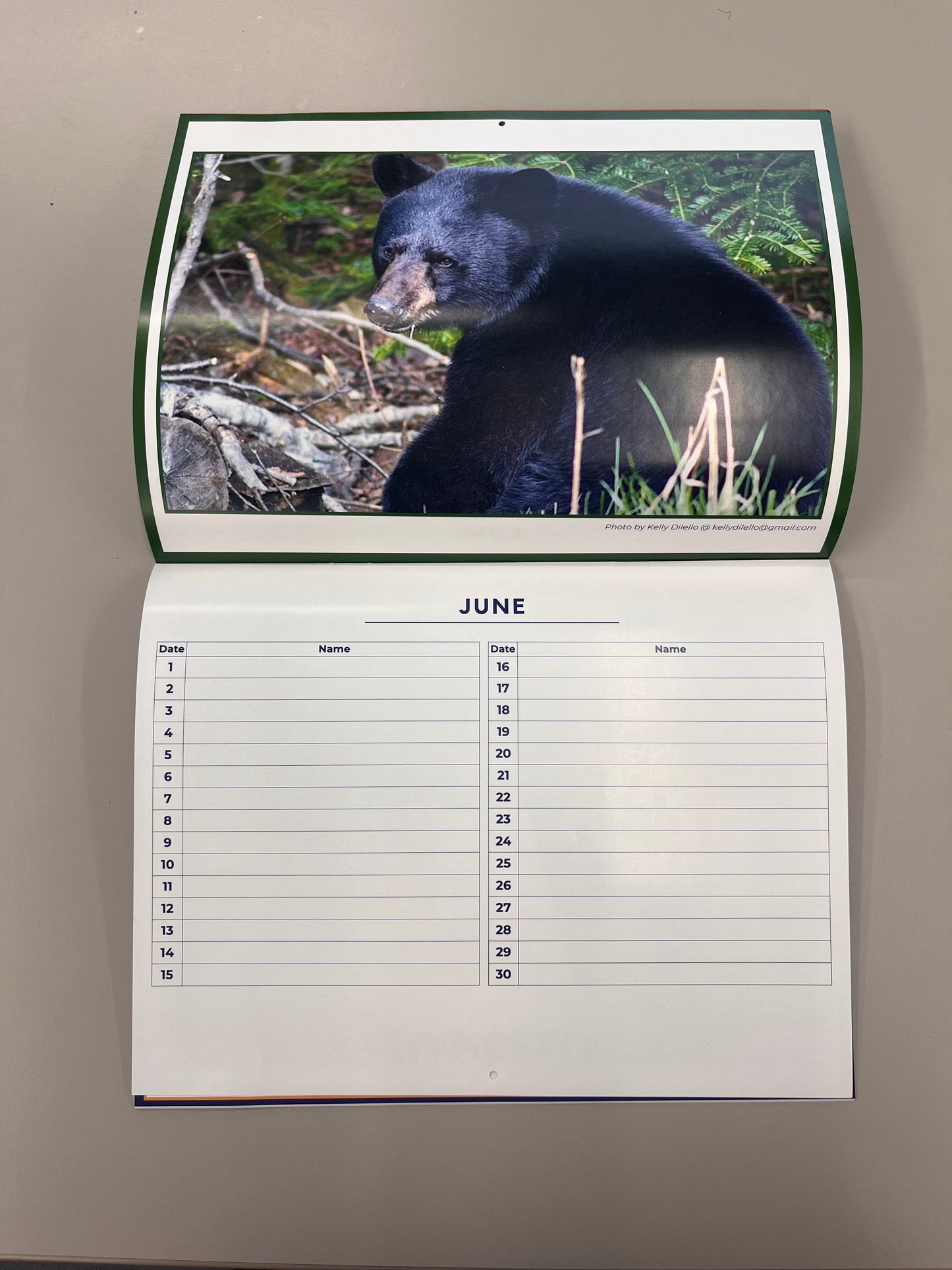 Birthday Calendar featuring Photos from Kelly Dilello of Maine