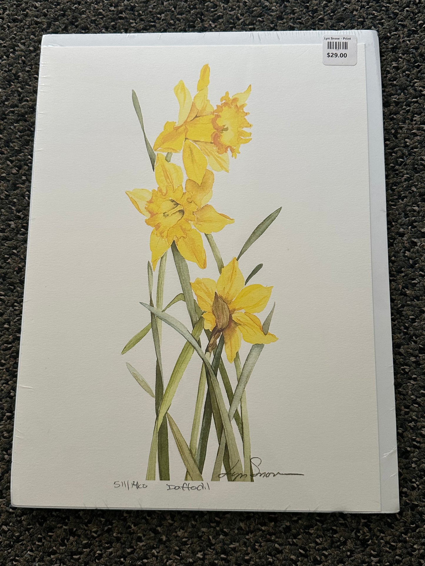 Lyn Snow - Print - $29.00