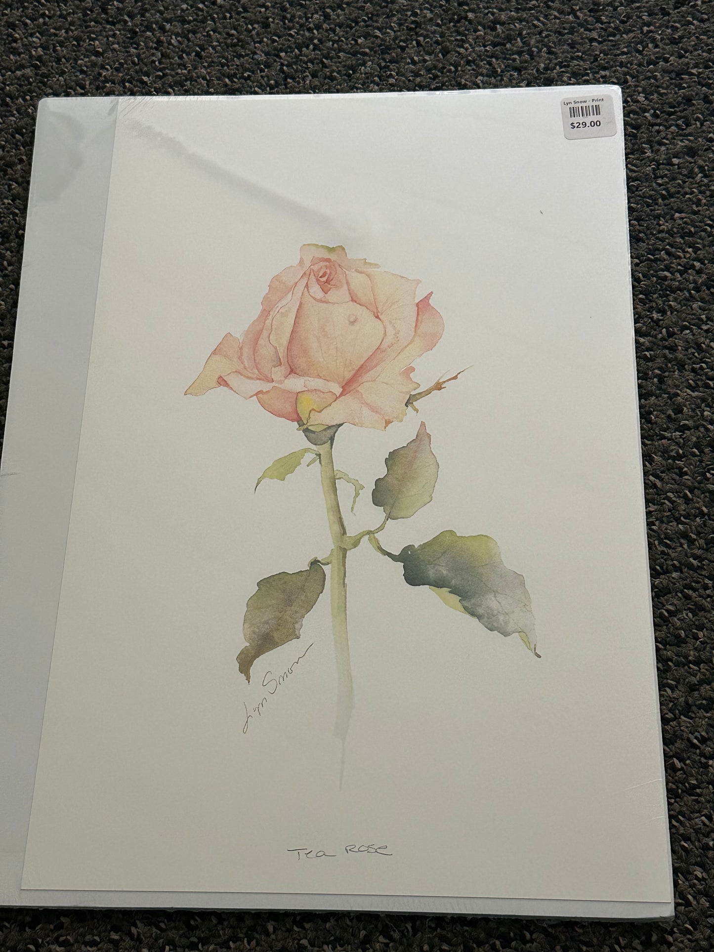 Lyn Snow - Print - $29.00