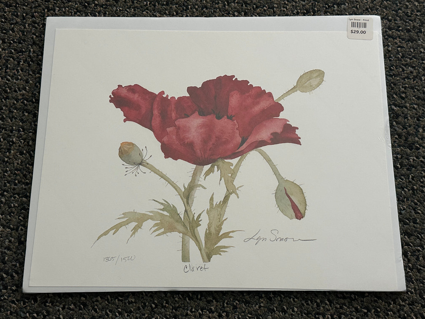 Lyn Snow - Print - $29.00