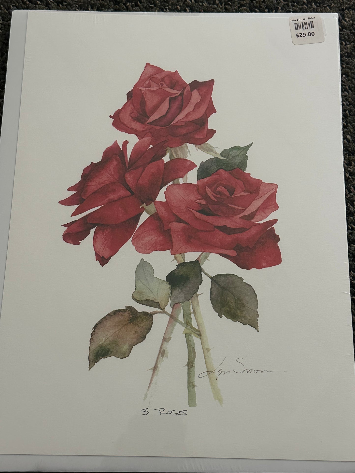 Lyn Snow - Print - $29.00