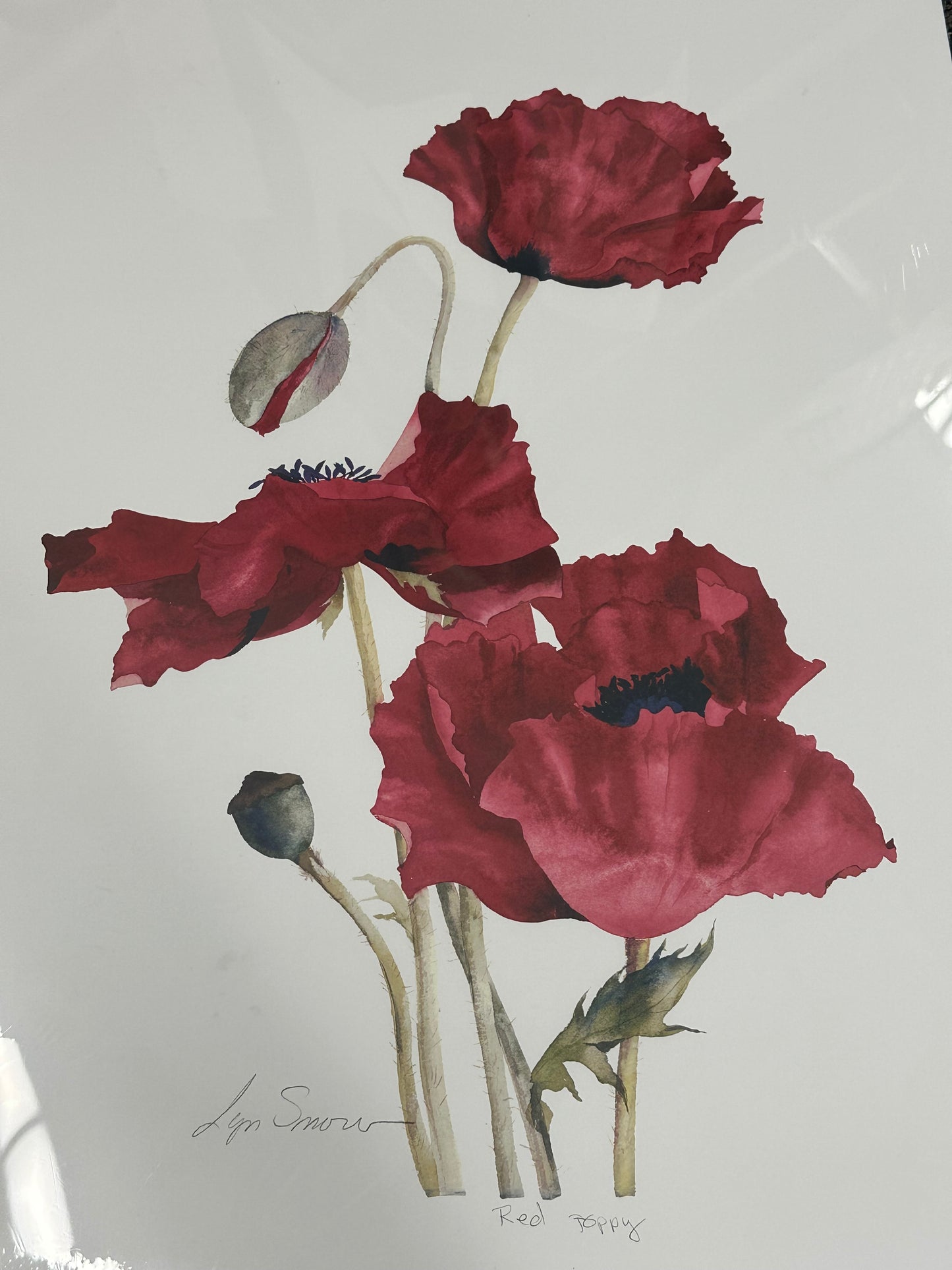 Lyn Snow - Print - $39.00