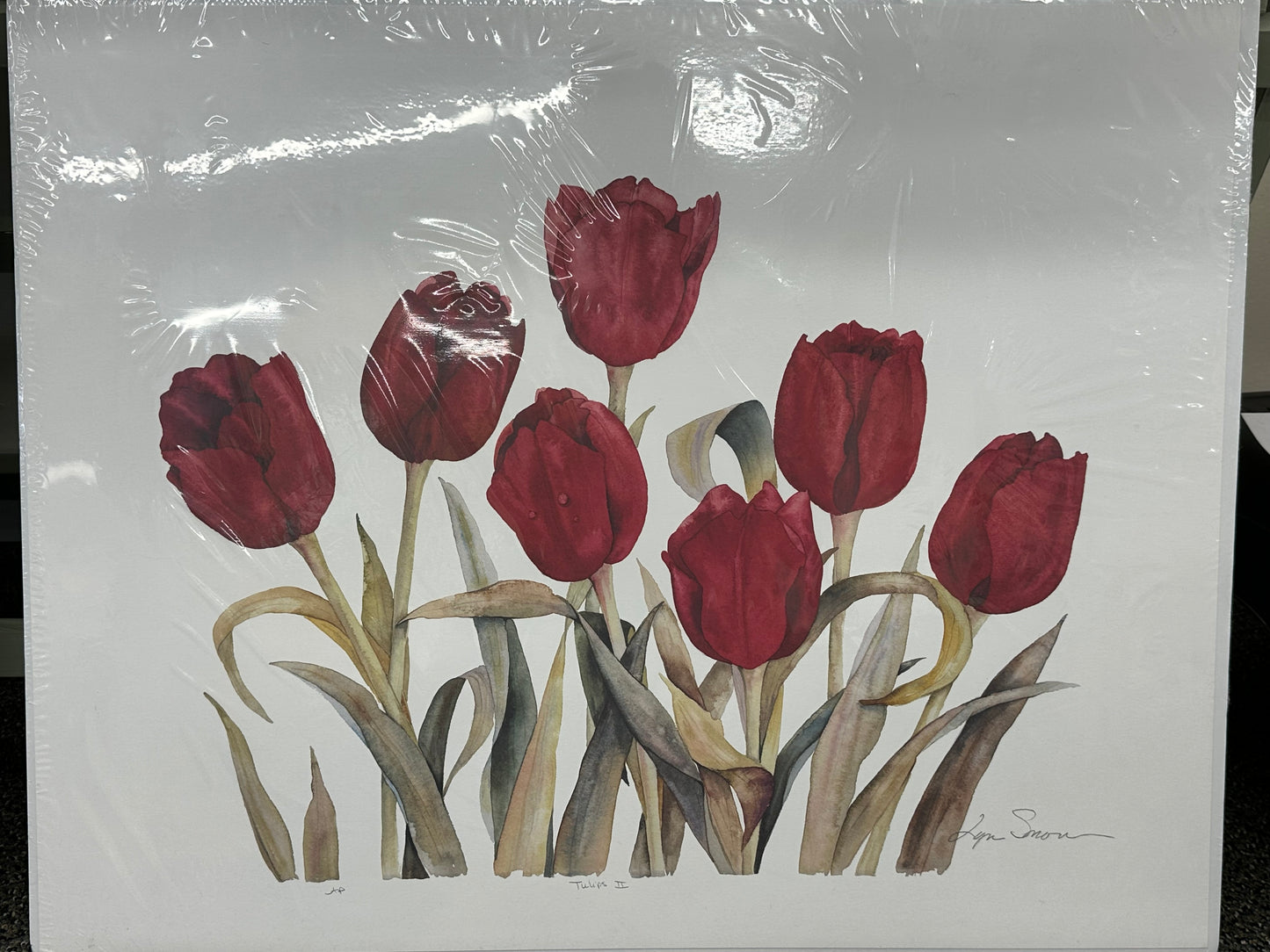 Lyn Snow - Print - $59.00