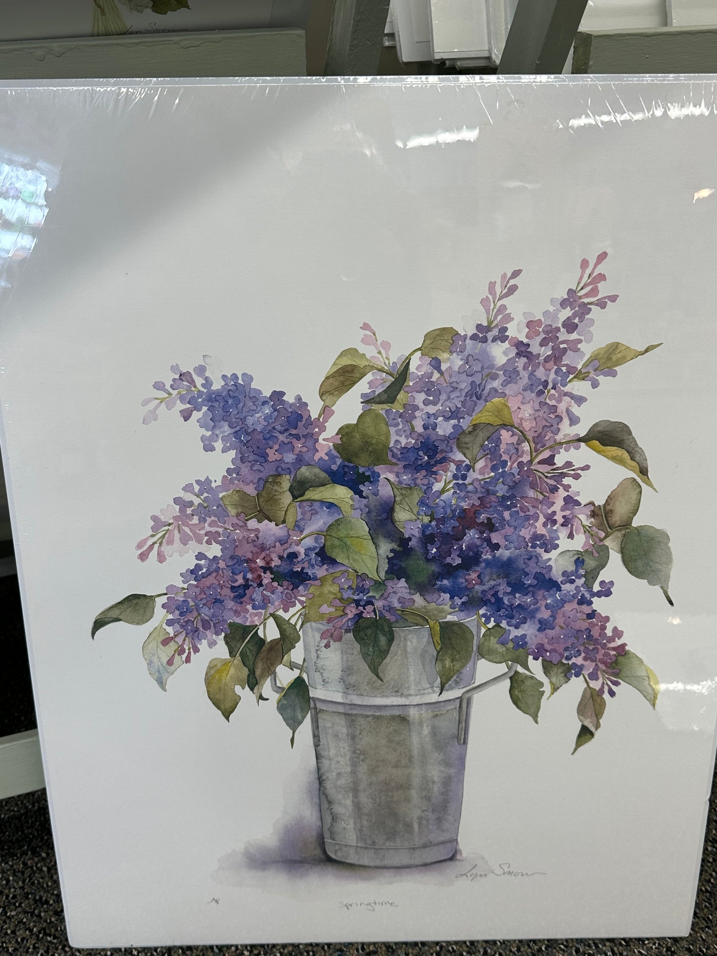 Lyn Snow - Print - $49.00