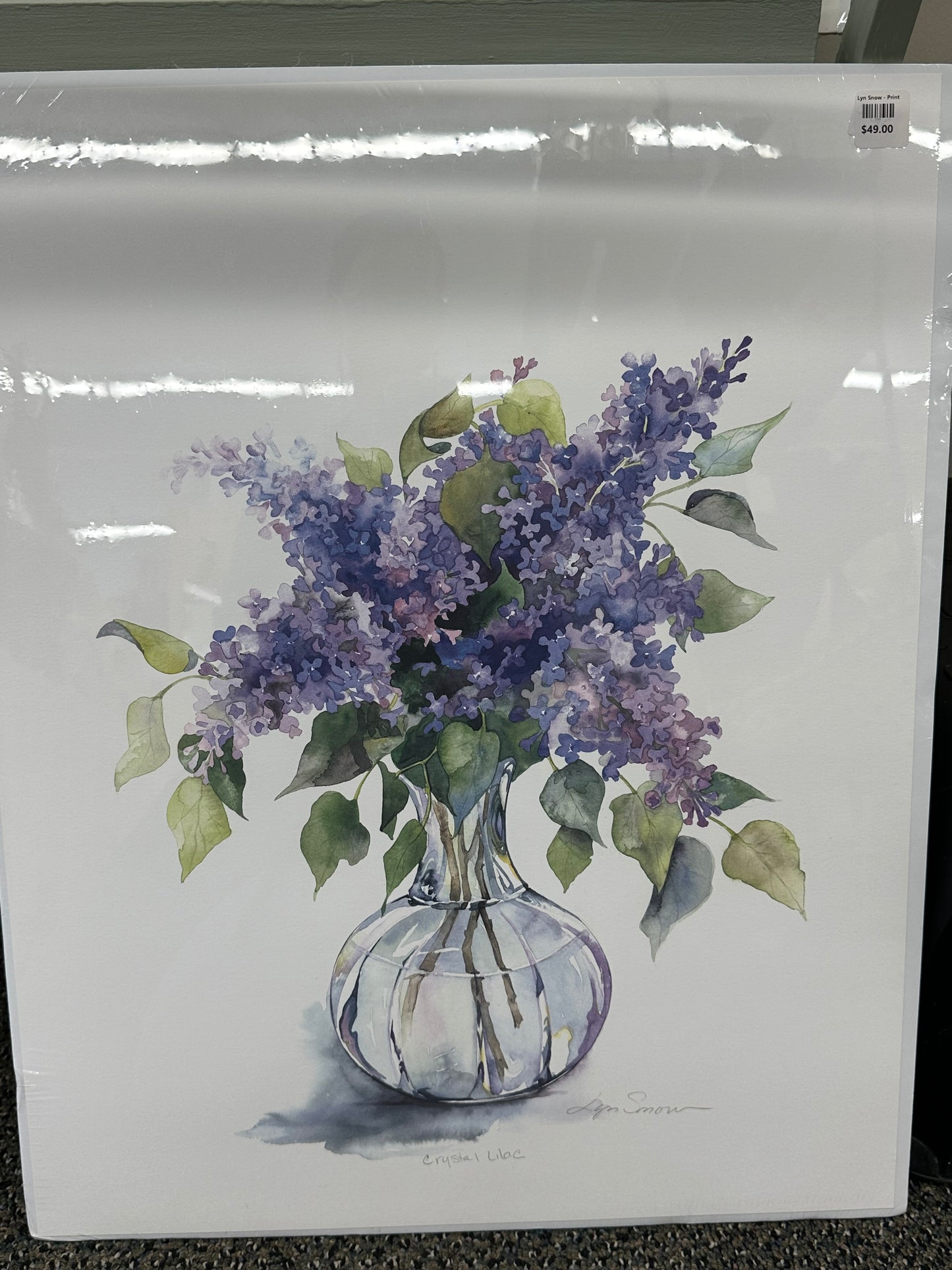 Lyn Snow - Print - $49.00