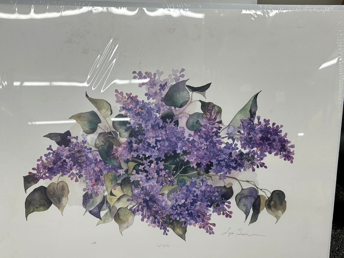 Lyn Snow - Print - $49.00