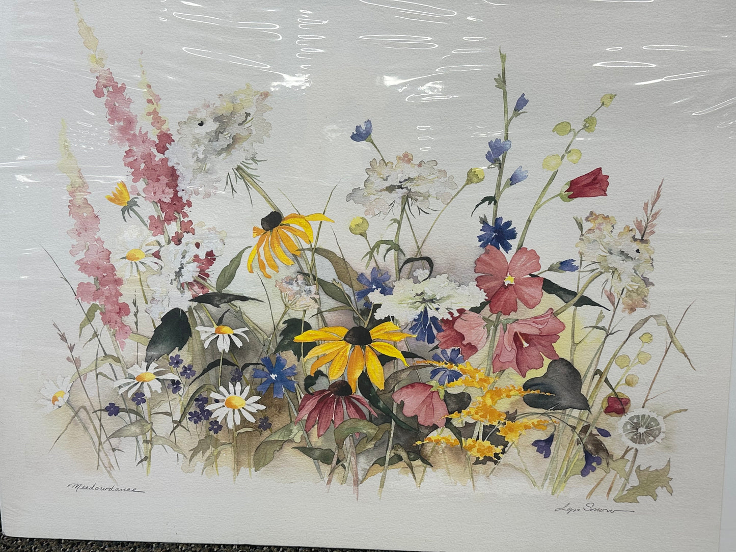 Lyn Snow - Print - $49.00