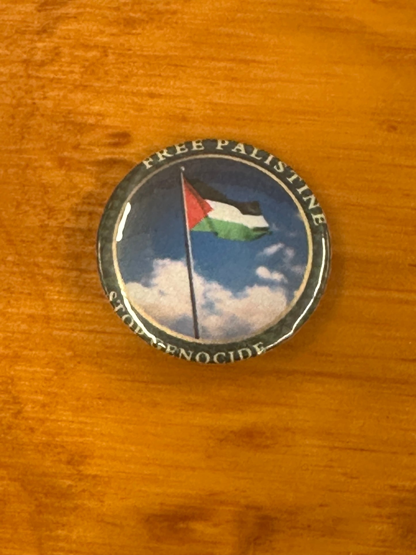 Right to Protest Button