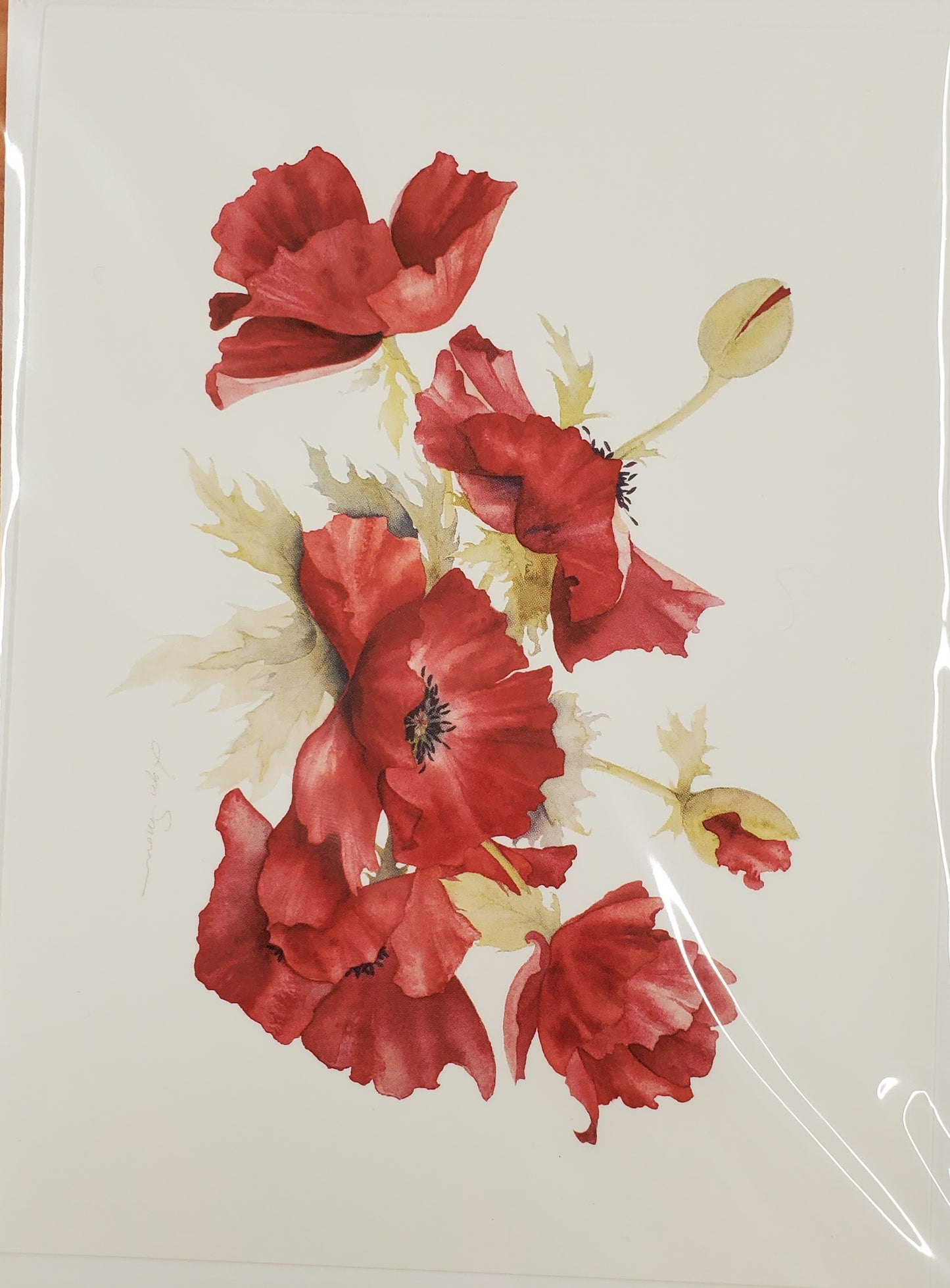 Lyn Snow - Cards - $4.50