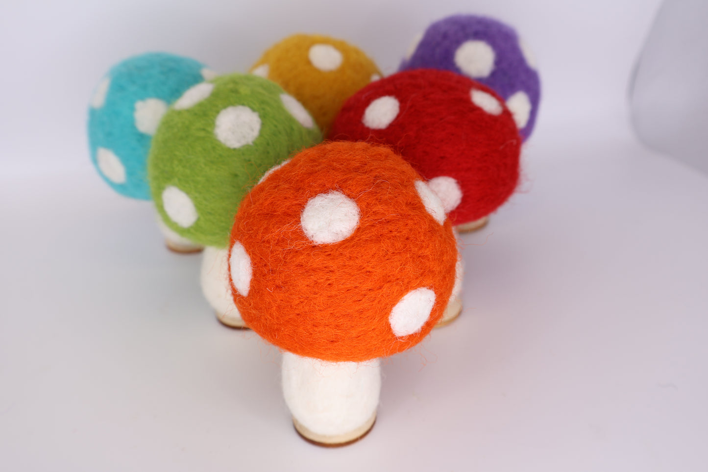 Rainbow Mushrooms
