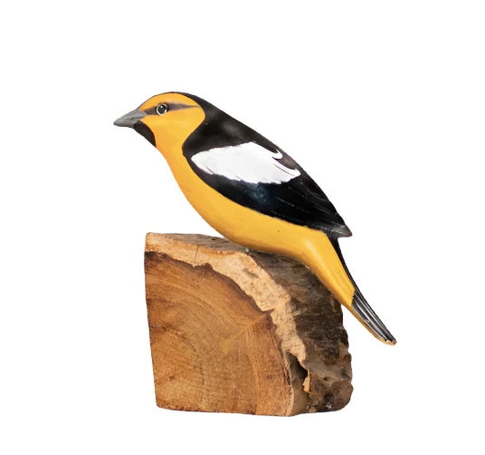 Oriole