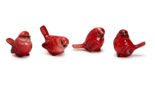 Red Cardinal