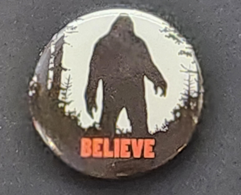 Pin - Believe