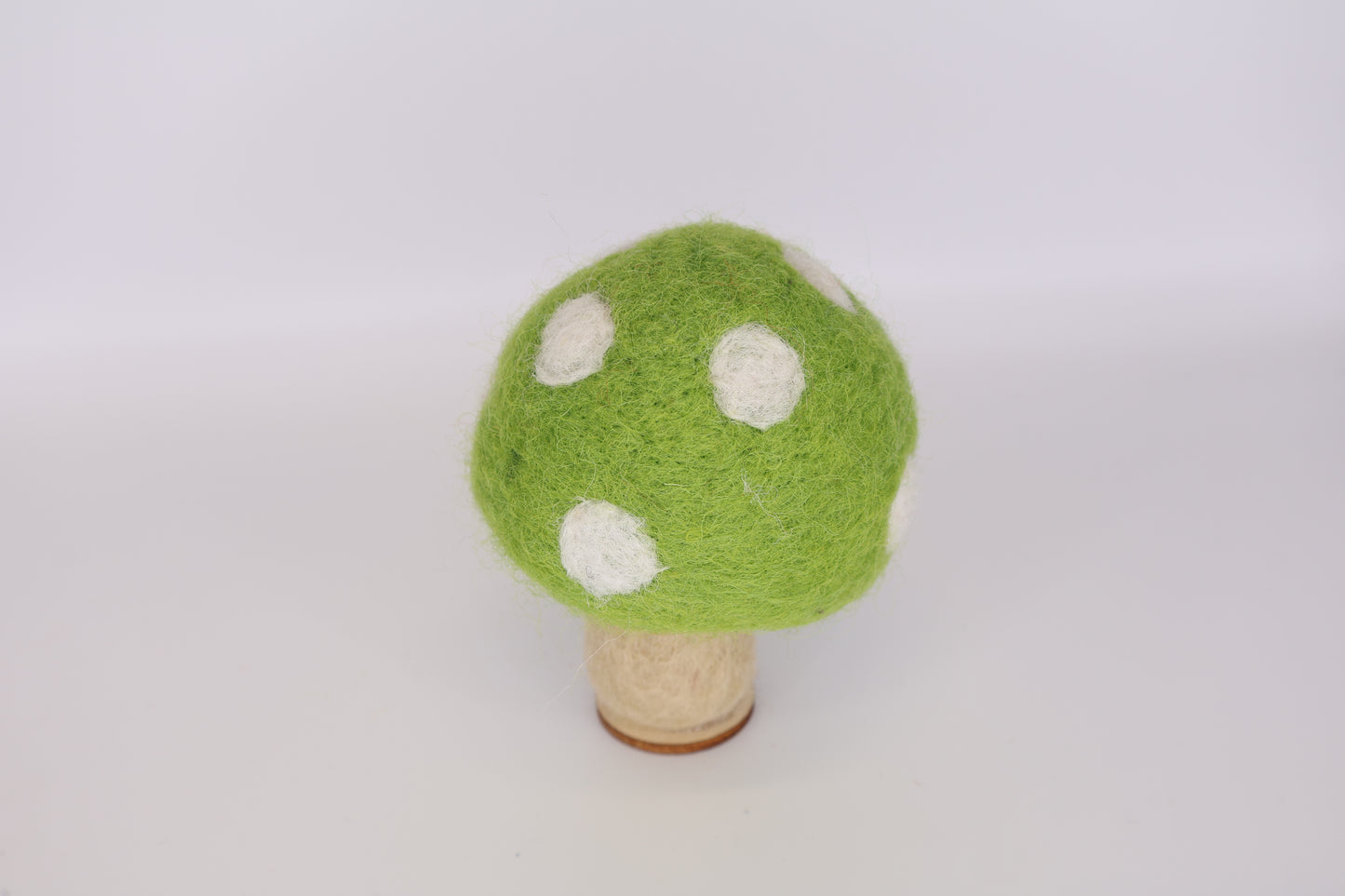 Woodland Mushrooms