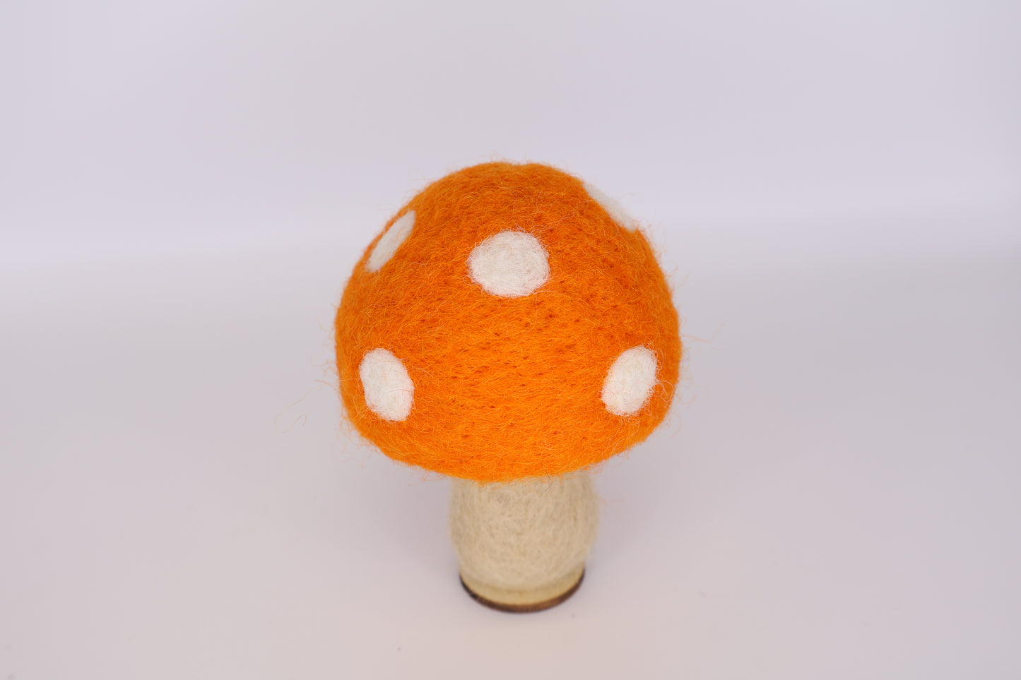 Woodland Mushrooms