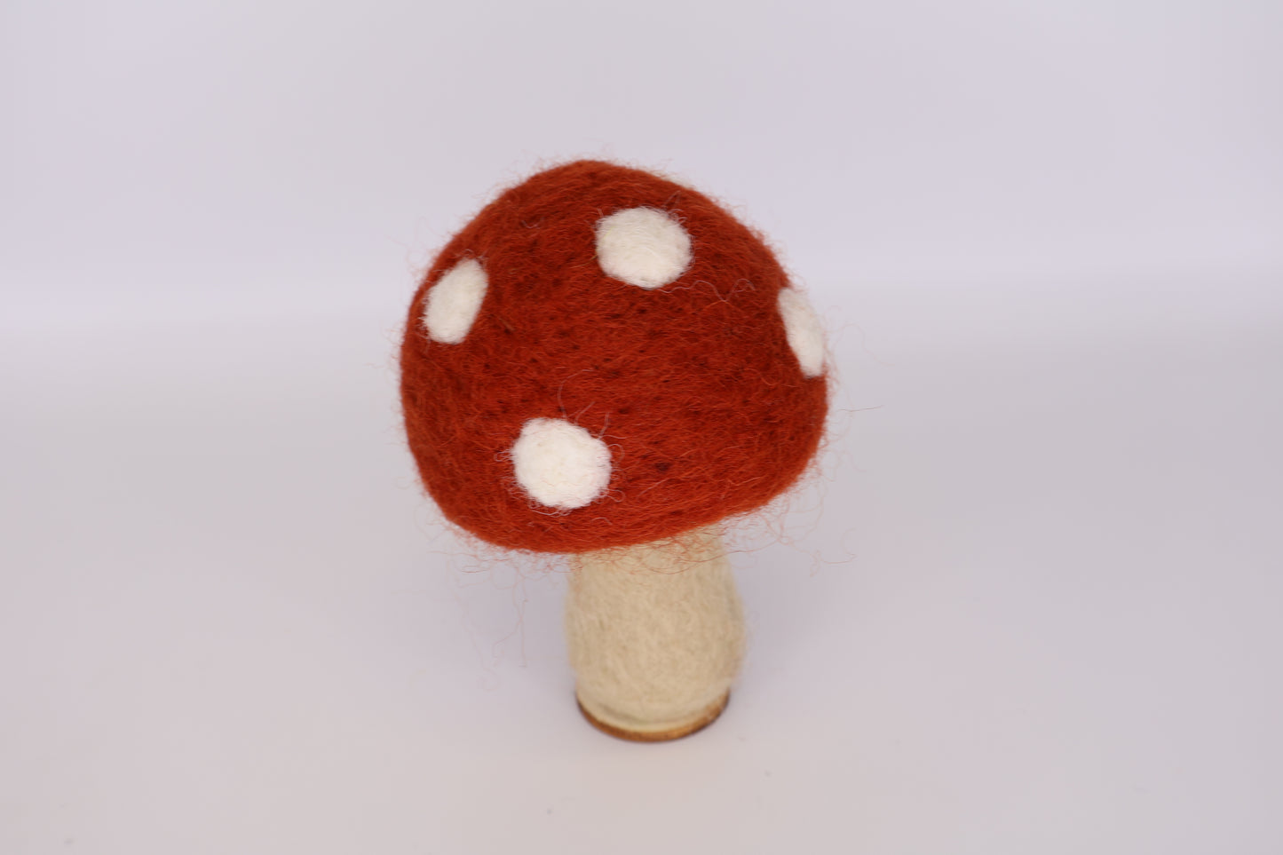 Woodland Mushrooms