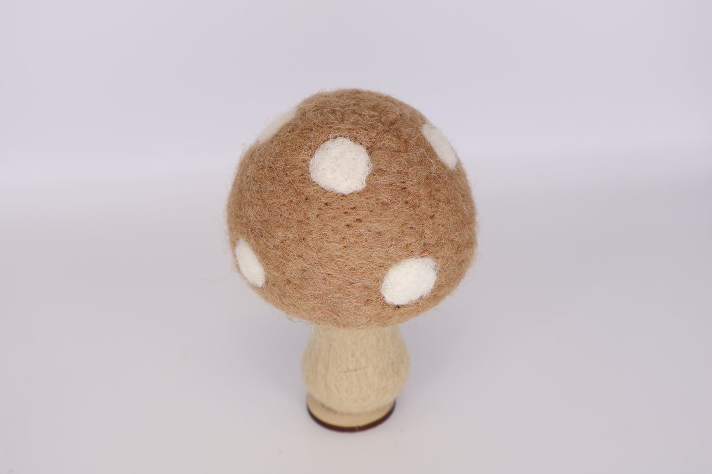 Woodland Mushrooms