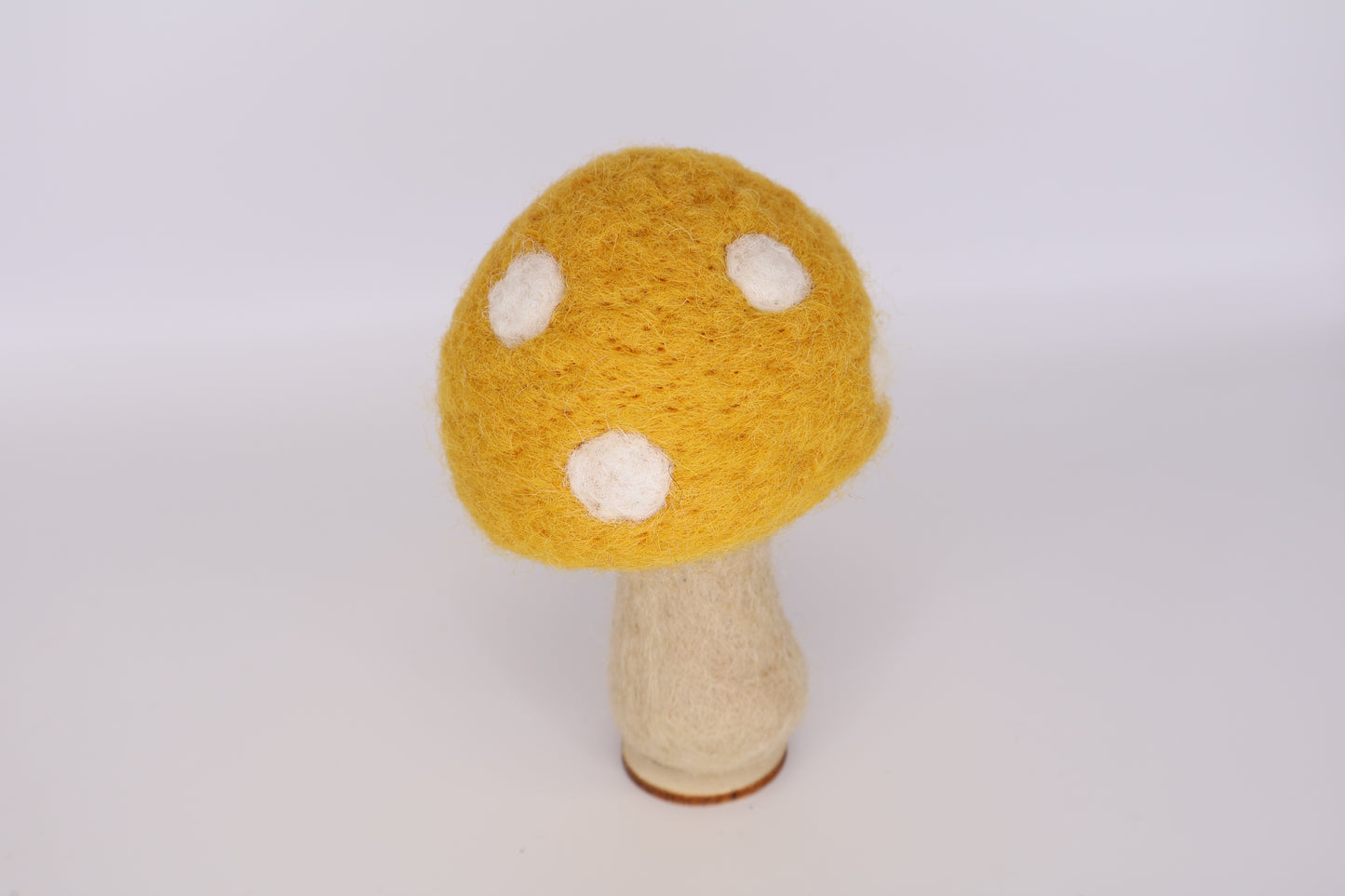 Woodland Mushrooms