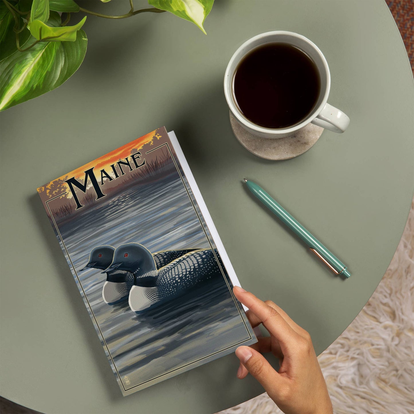 Journal - Maine, Loon Family
