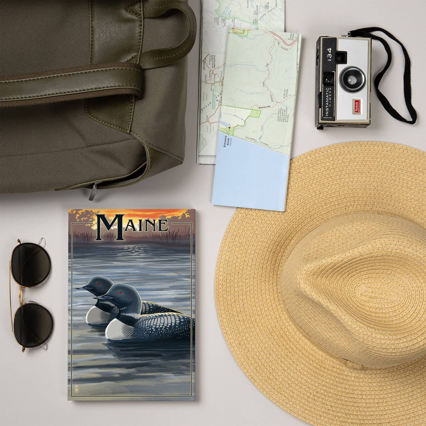 Journal - Maine, Loon Family