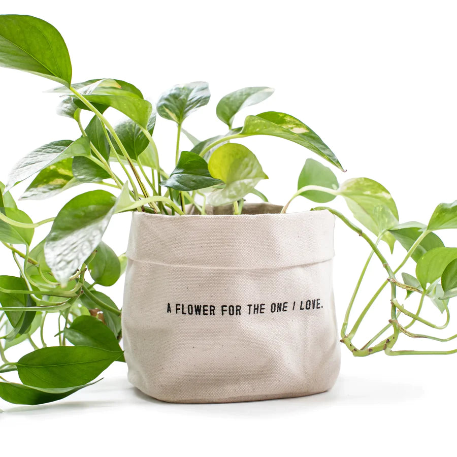 Planter - Lg. Canvas with Quote