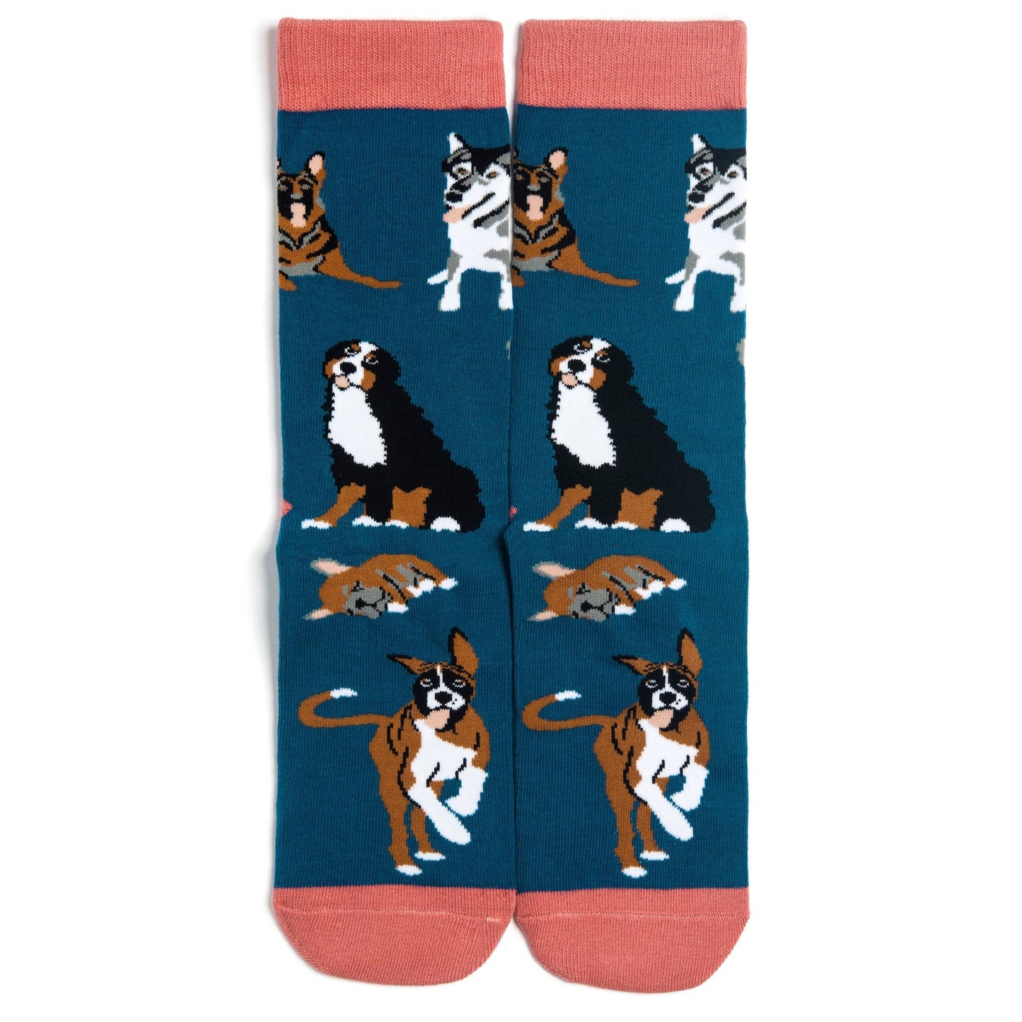Lavley - I'd Rather Be With My Dog Socks (Blue)