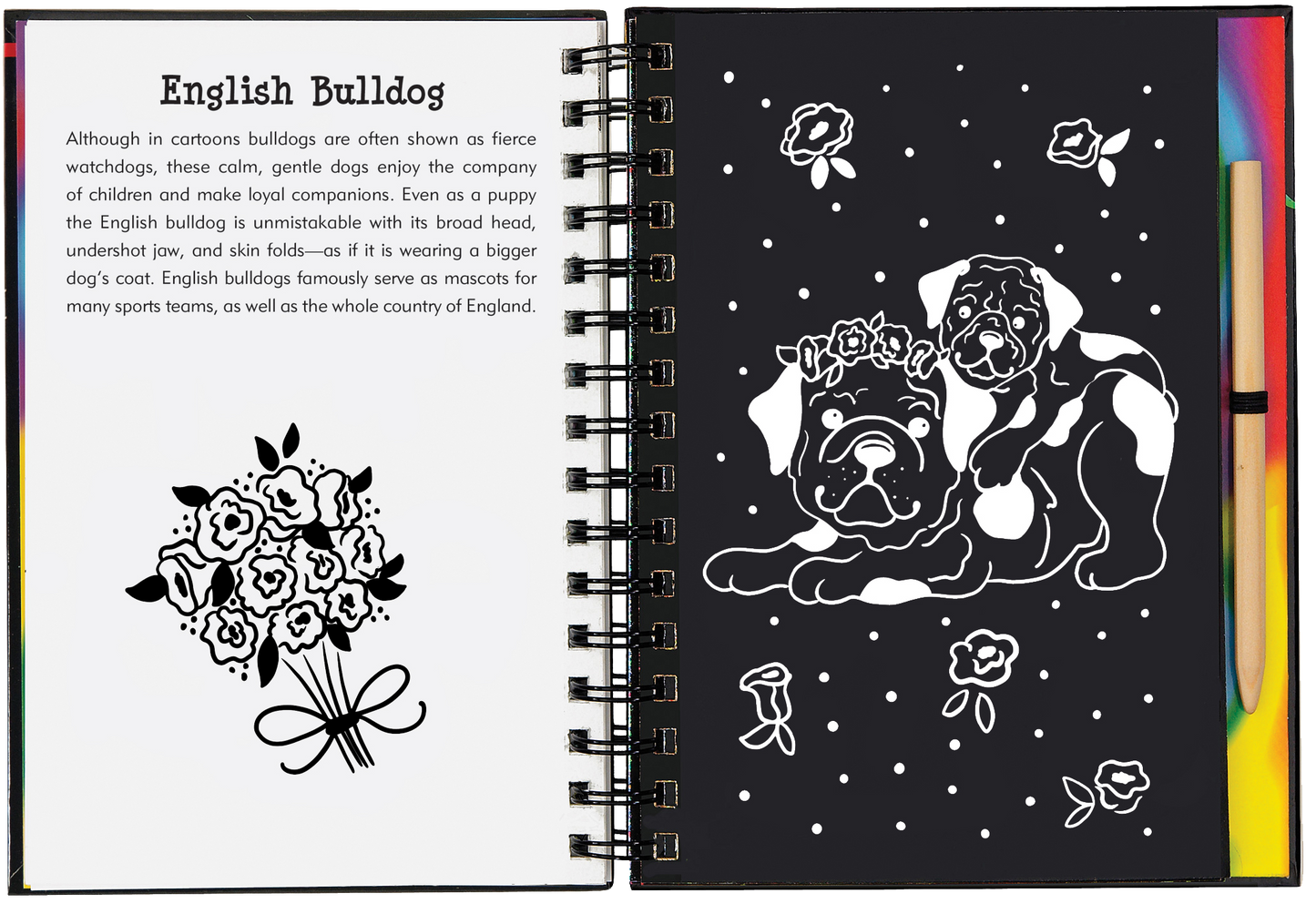 Scratch & Sketch™ Puppies