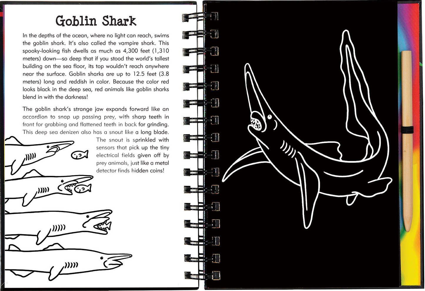 Scratch & Sketch™ Sharks