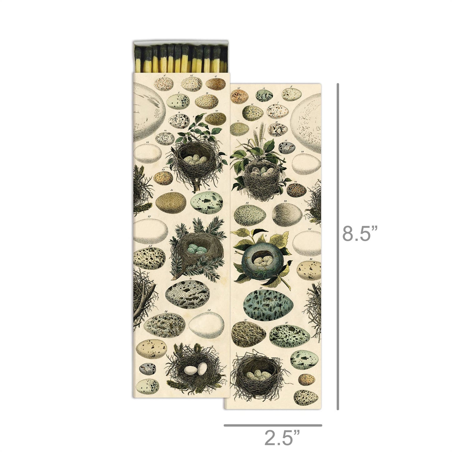 Matches - Nest & Eggs