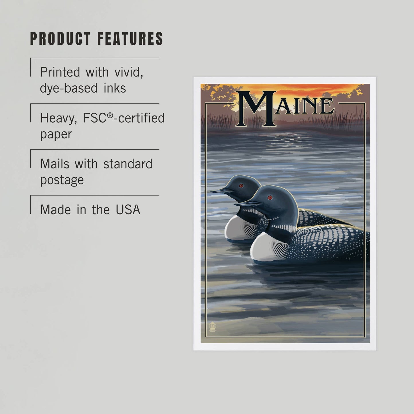 Postcard - Maine - Loon Family