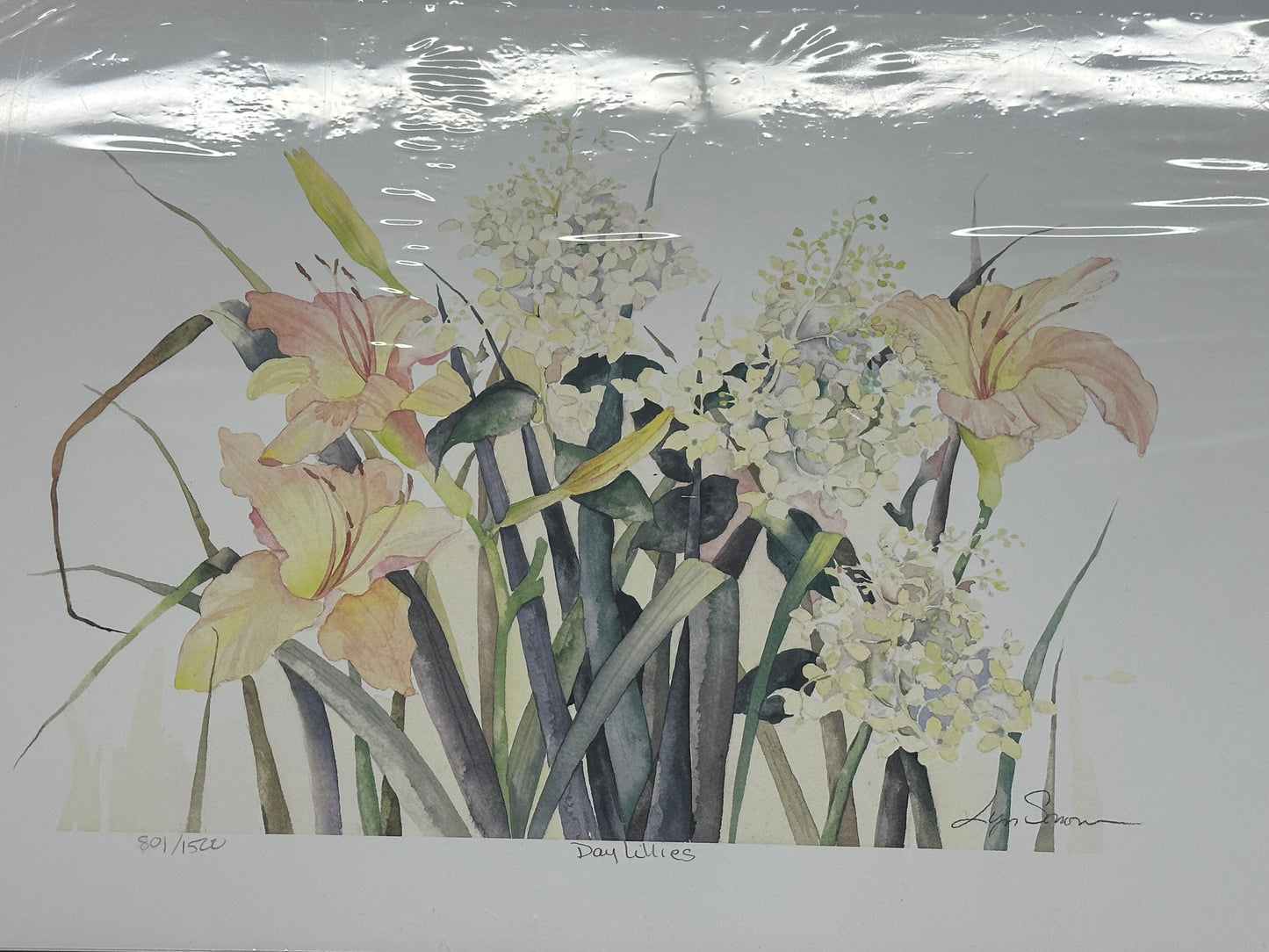 Lyn Snow - Print - $39.00