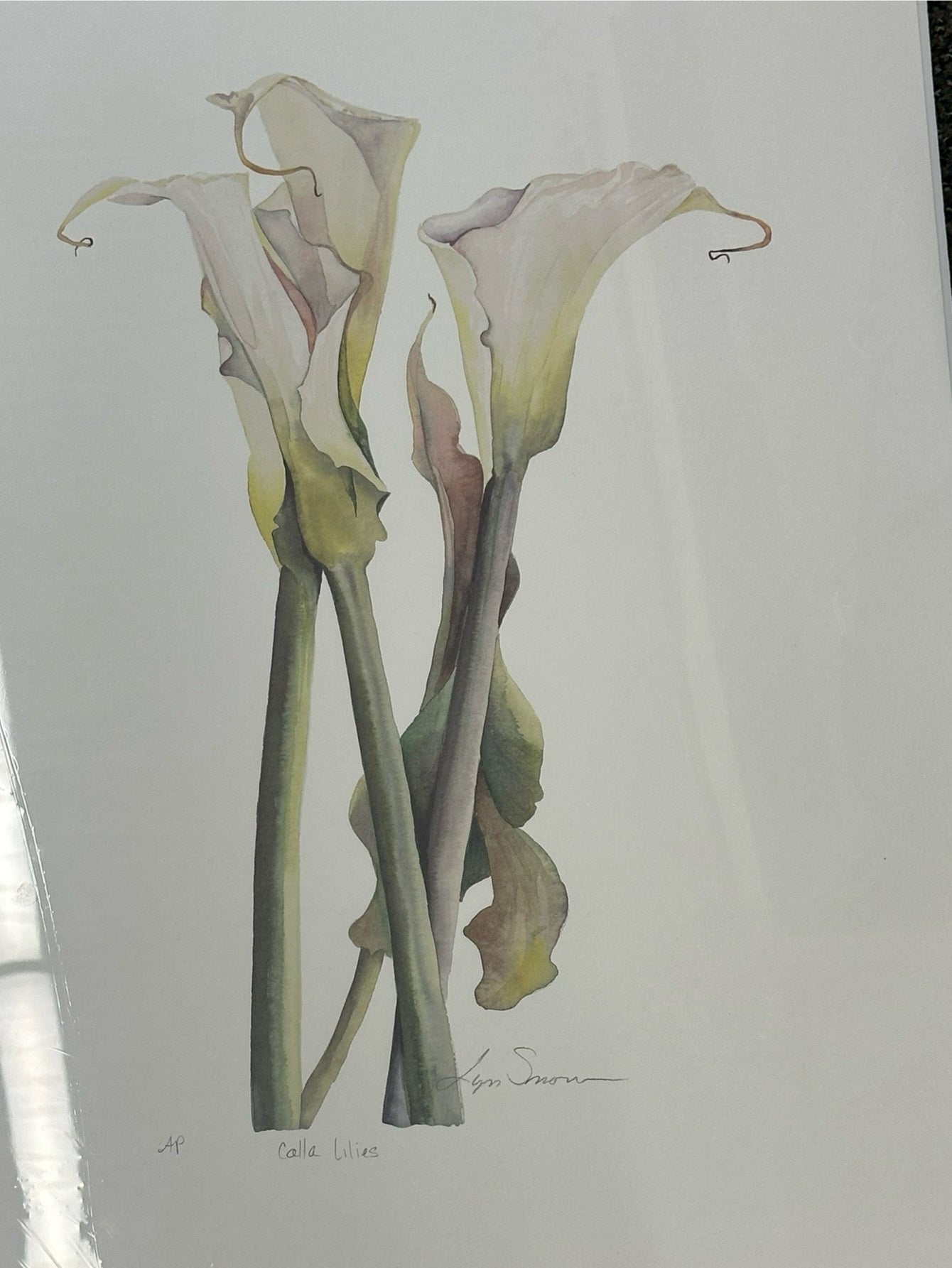Lyn Snow - Print - $45.00