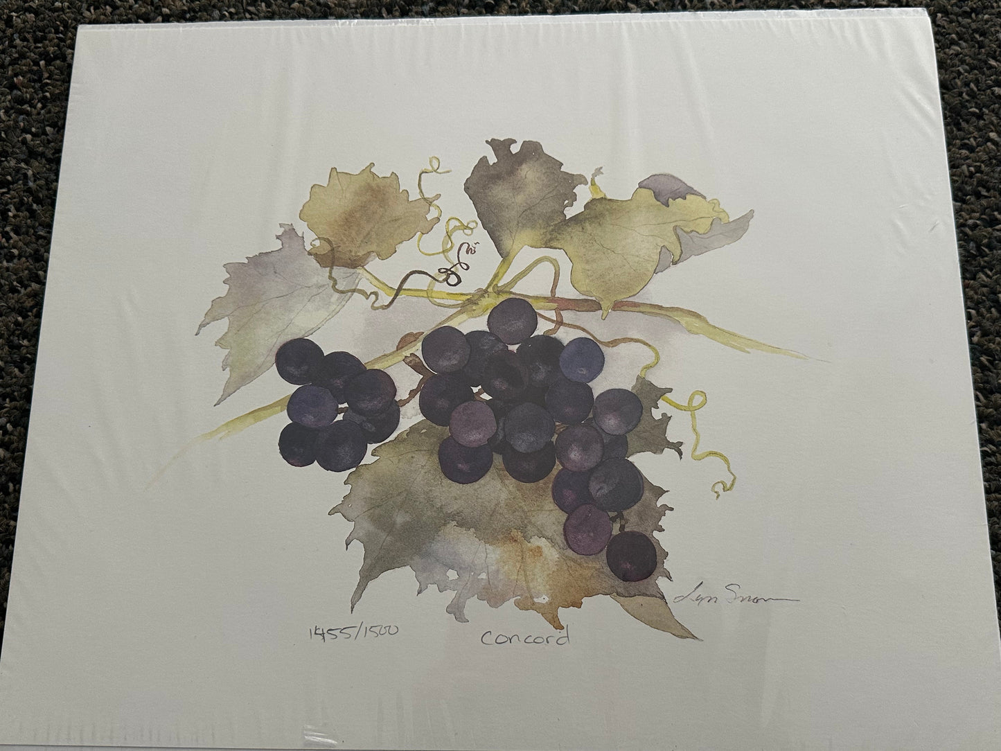Lyn Snow - Print - $29.00