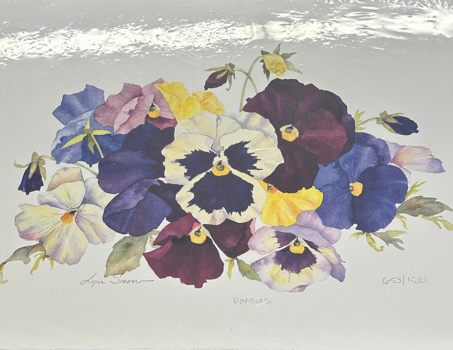 Lyn Snow - Print - $39.00